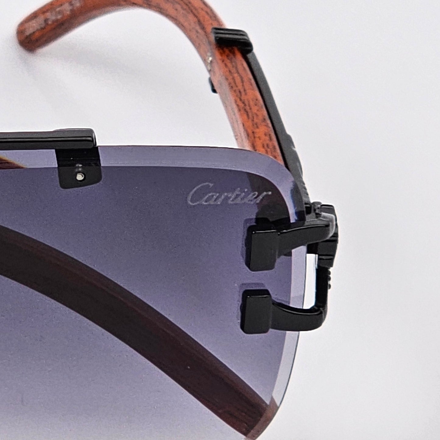 Cartier Rimless LION - The OG “GABRU” glasses! 😎