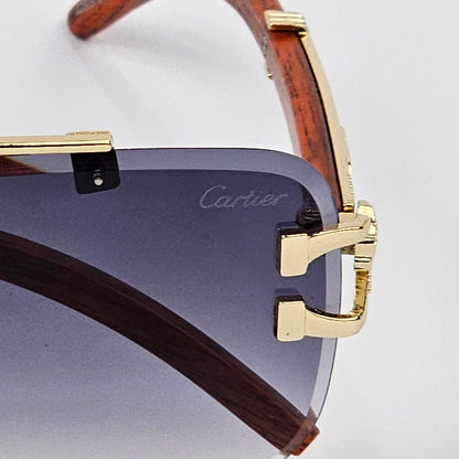 Cartier Rimless LION - The OG “GABRU” glasses! 😎