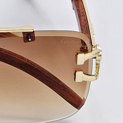Cartier Rimless LION - The OG “GABRU” glasses! 😎