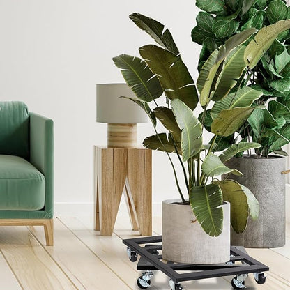 Moveable Wheel Plant Stand