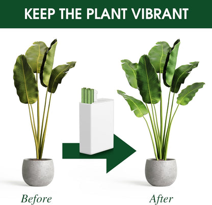 Plant Growth Food Sticks Pack Of 30