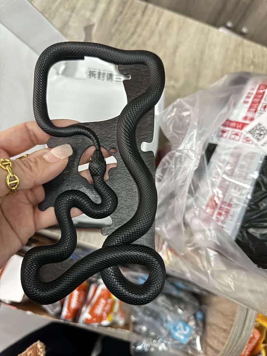 Mysterious Snake Iphone Case