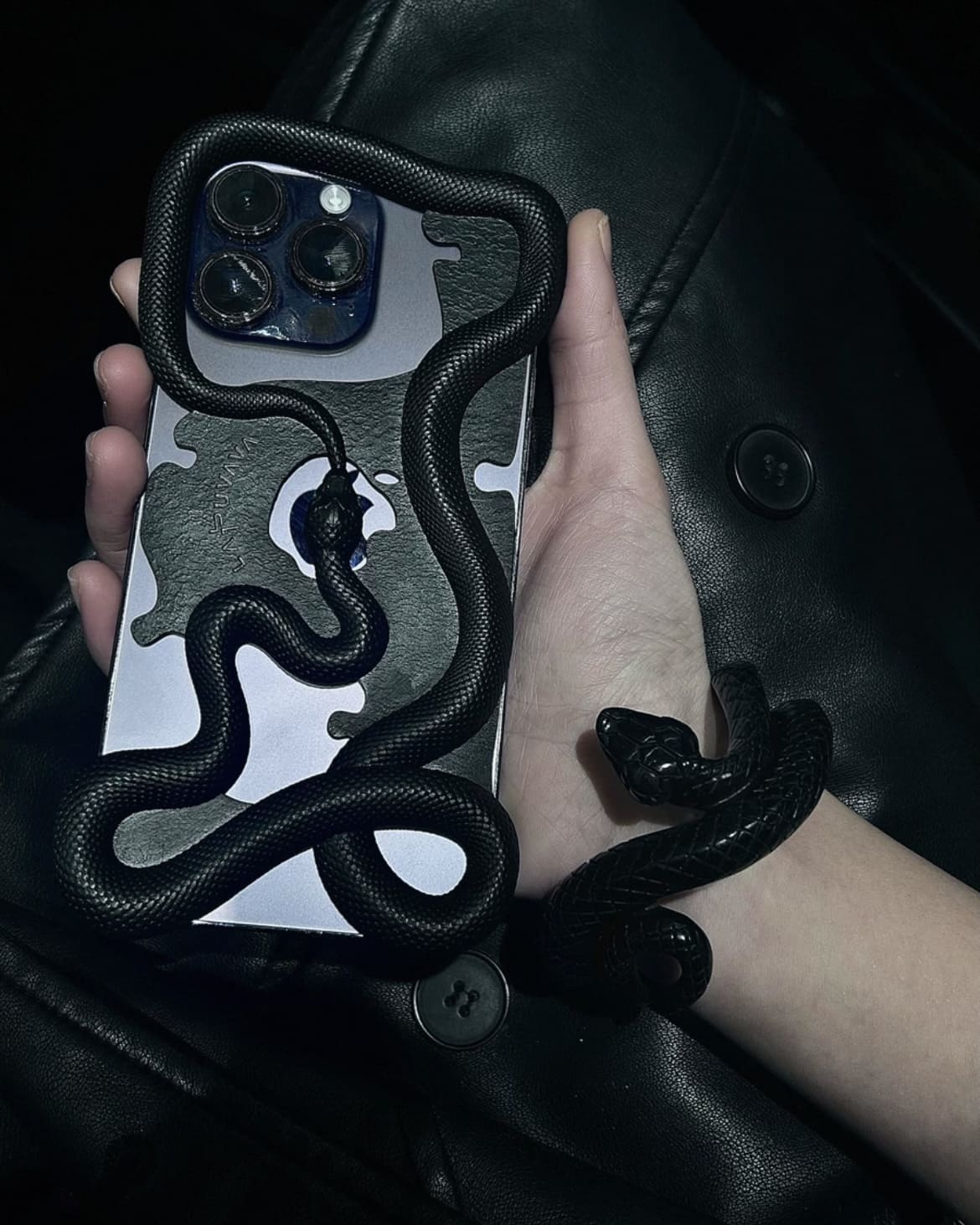 Mysterious Snake Iphone Case