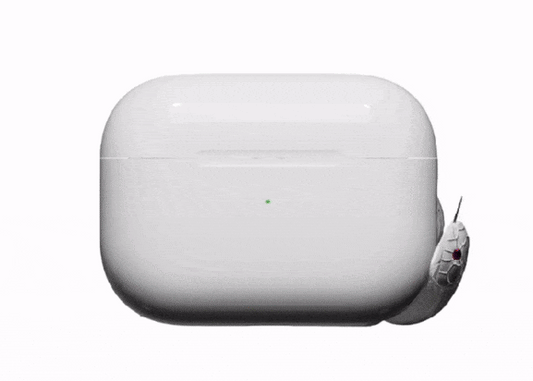 The Black Serpent Snake  Airpods Case