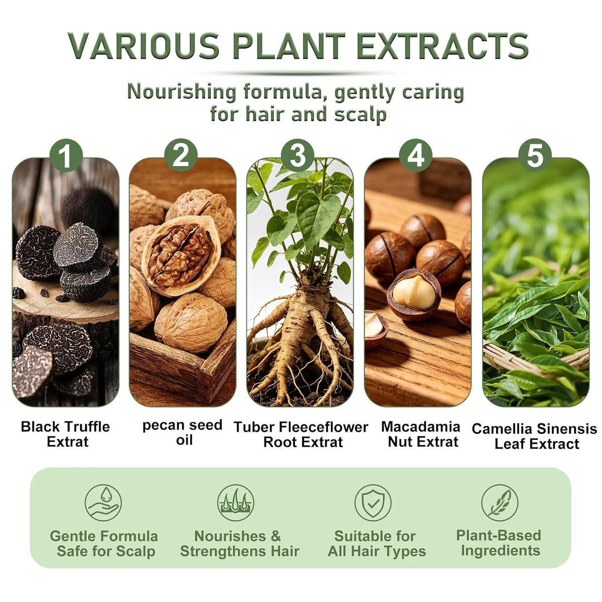 Plant-Based Hair Color Cream