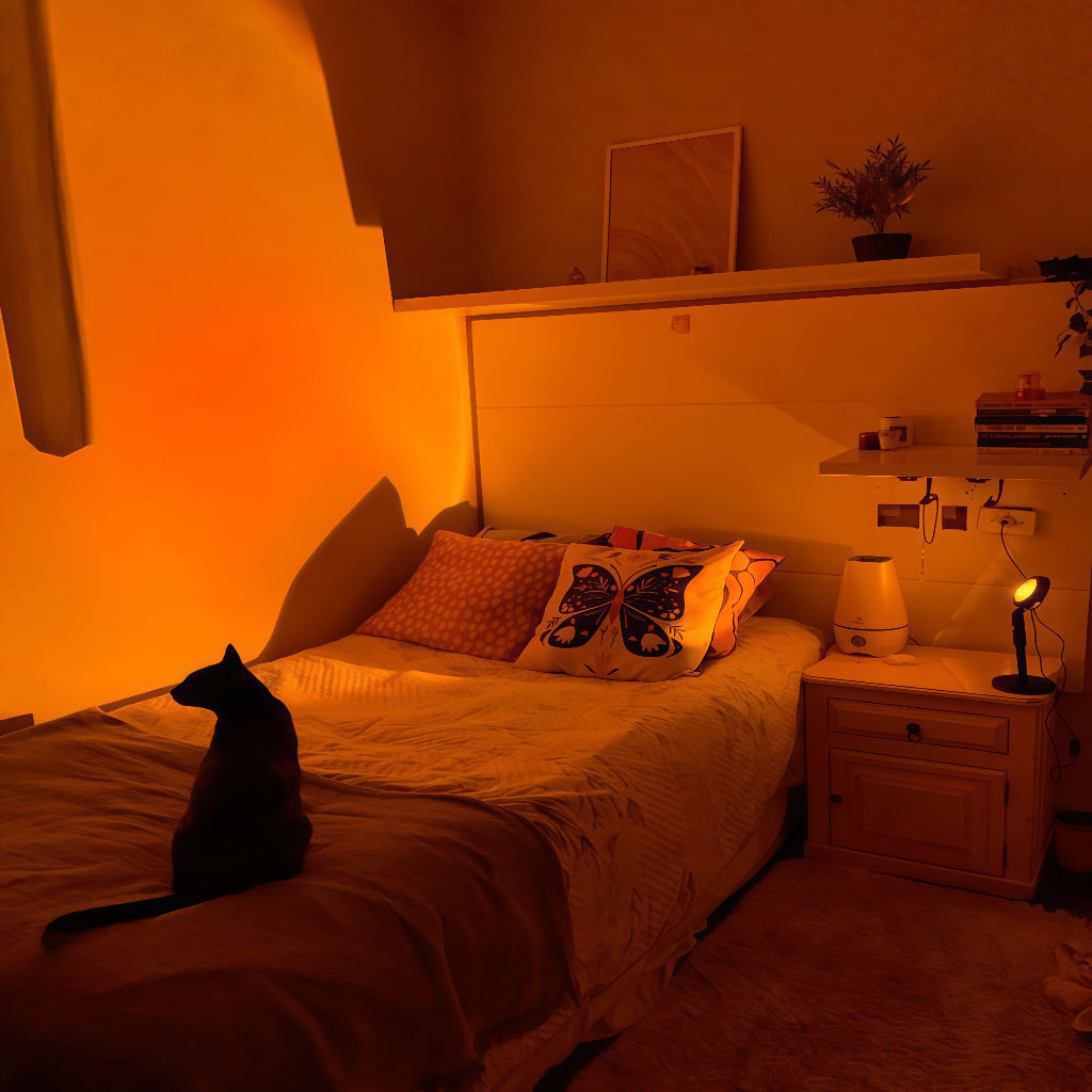Aurora Premium Sunset Projection Lamp